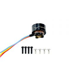 Moteur FX-1406-3150KV - Ranger T1 - Heewing